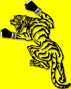Tiger Boxing Gym Logo