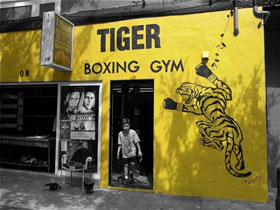 Tiger Boxing Gym